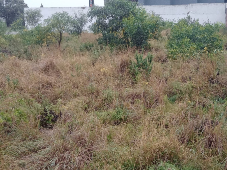 Commercial Property for Sale in Fountains Estate Eastern Cape
